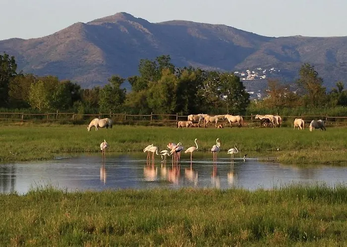 Panoramic * Эмпуриабрава